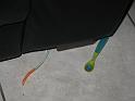 2008_02_14 (2)